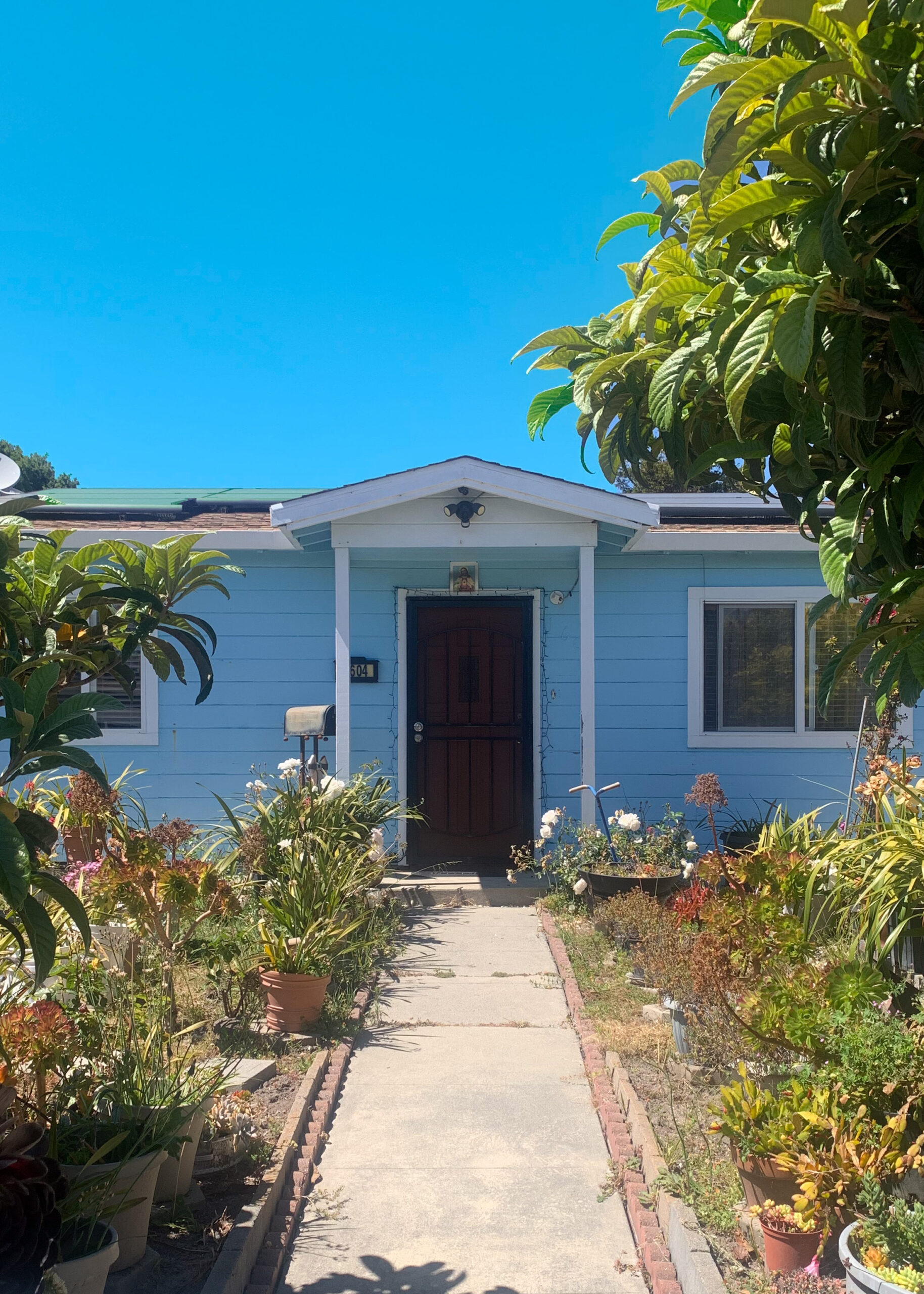 Santa Cruz Califorinia Neighborhood. Lorenalia