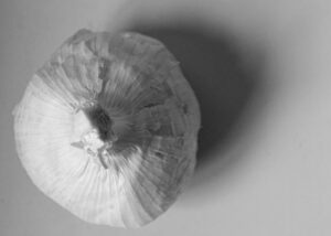 Garlic, a tribute to Edward Weston
Lorenalia