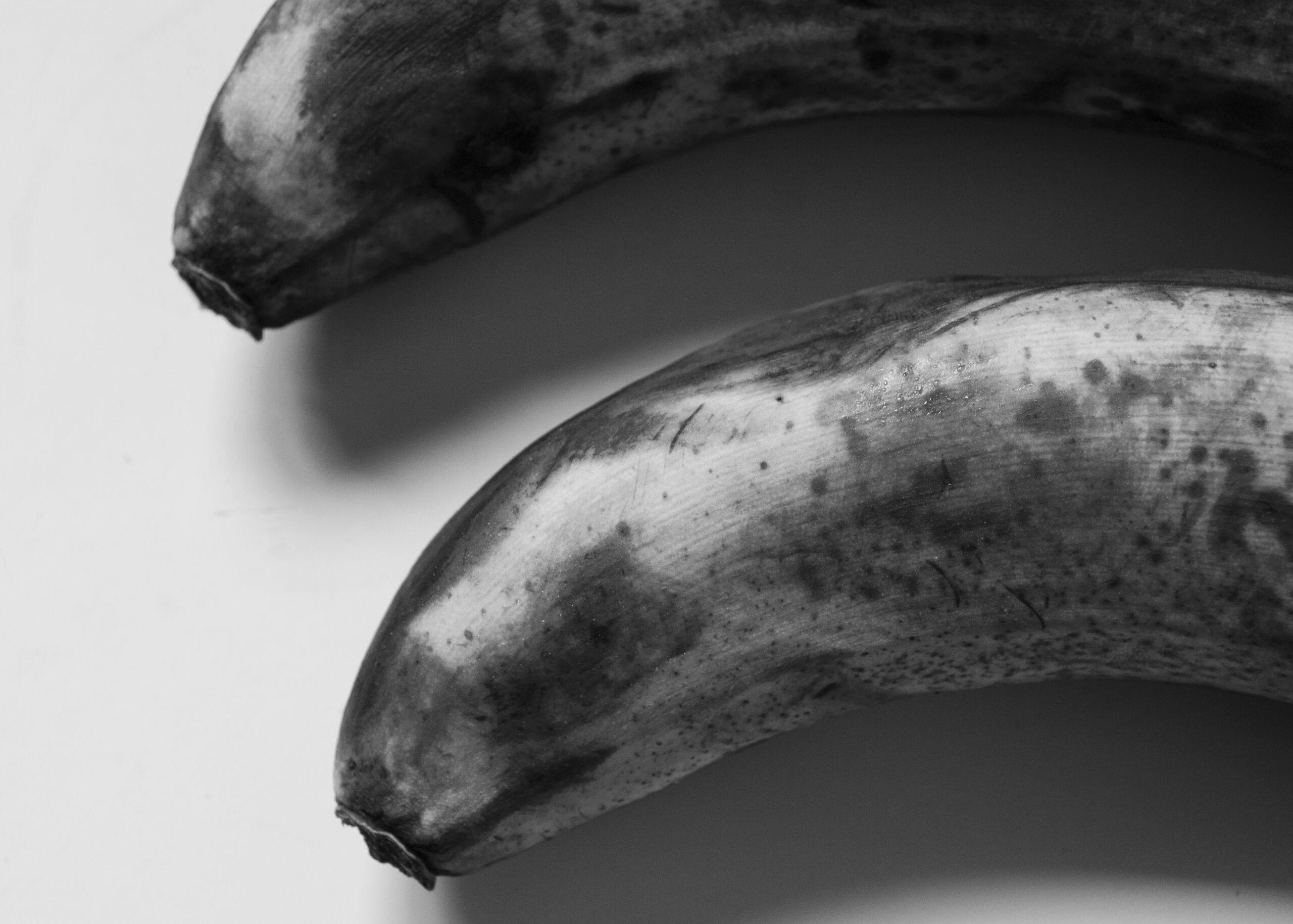 Bananas,  a tribute to Edward Weston
Lorenalia